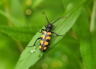 Środowisko Terapeutyczne: Co Sprawia, że Jest Skuteczne? Środowisko Terapeutyczne: Co Sprawia, że Jest Skuteczne?